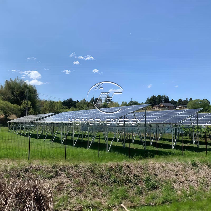 Why Is the Multiple Row Type Solar Farmland Mount Becoming the Best Choice for Modern Agrivoltaic Projects