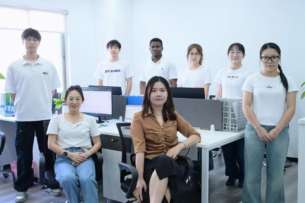Professional Engineering Team