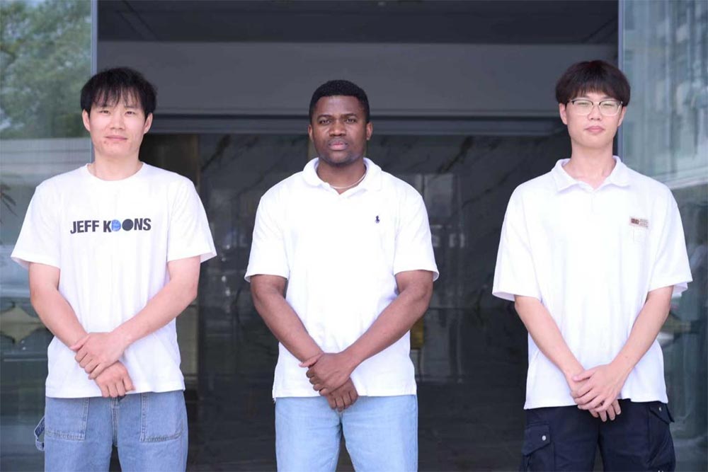 Professional Engineering Team